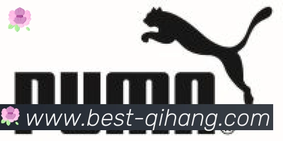 启航彩票平台合作伙伴